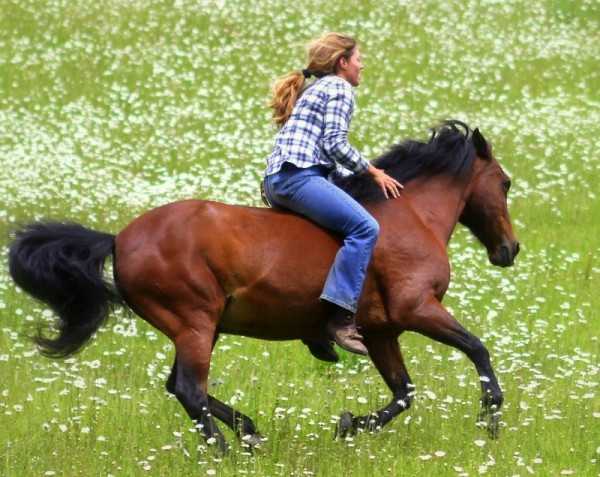 Sarah Hawk horseback riding