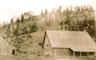 historic photo of barns and horses