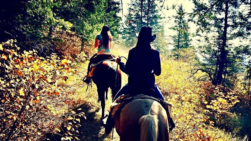 two horseback riders on the trail