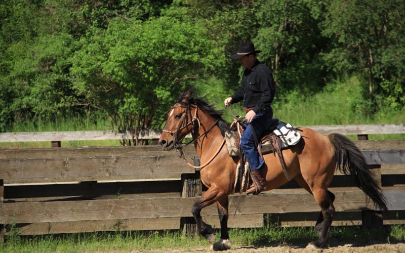 rider horse testing for loping ride