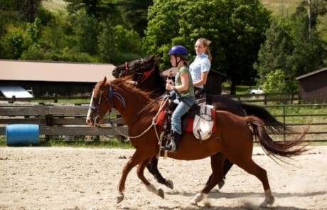 horseback training at the ranch