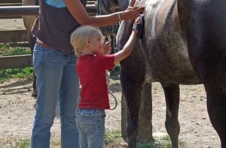 child meeting a horse