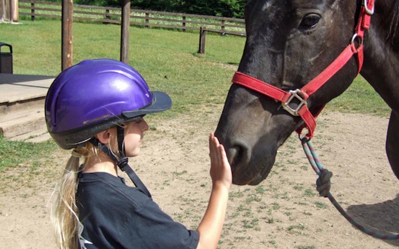 young girl petting a horse