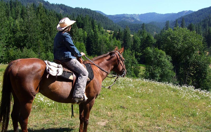 horseback rider on a hill