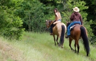 two horseback riders on a forest trail