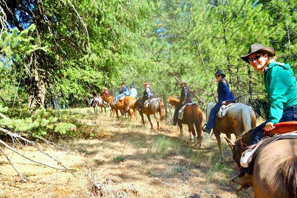 group on horseback trail ride