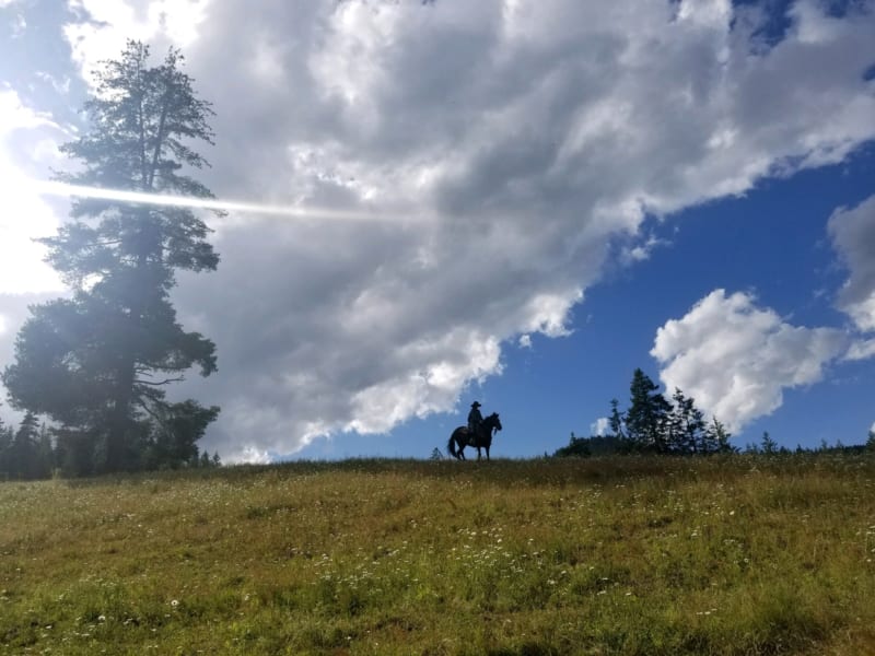 Person on horseback on a hill, profiled in shadow.