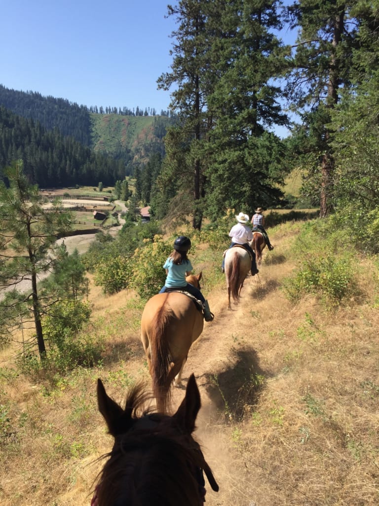 Group on horseback trail ride near ranch.