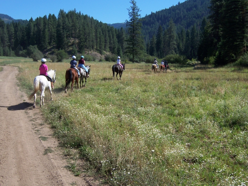 Group on horseback trail ride.