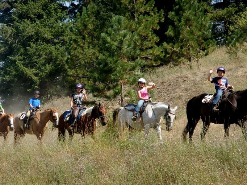Group of kids on horseback trail ride.