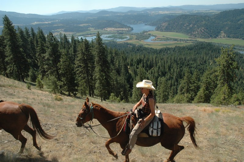 Group on horseback trail ride with view of valley and lakes.