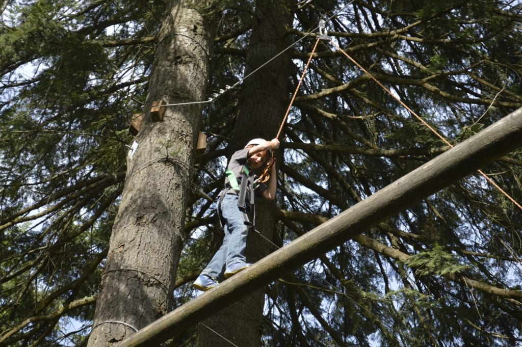 Young person on climbing challenge course.