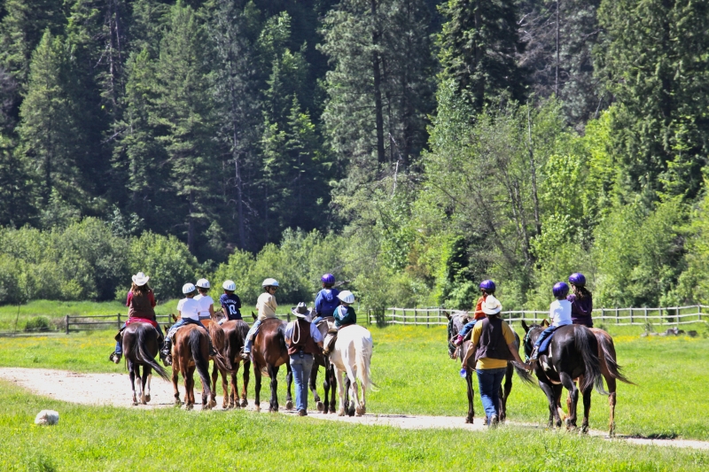 Group leaving on horseback trail ride.