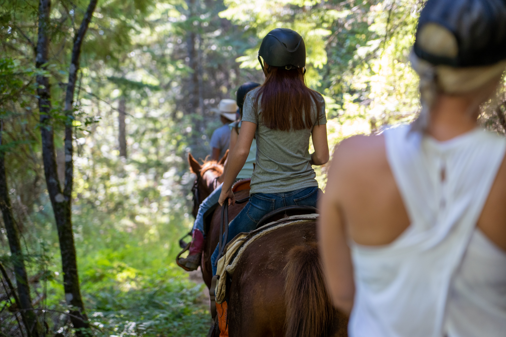 Group on horseback trail ride through forest.