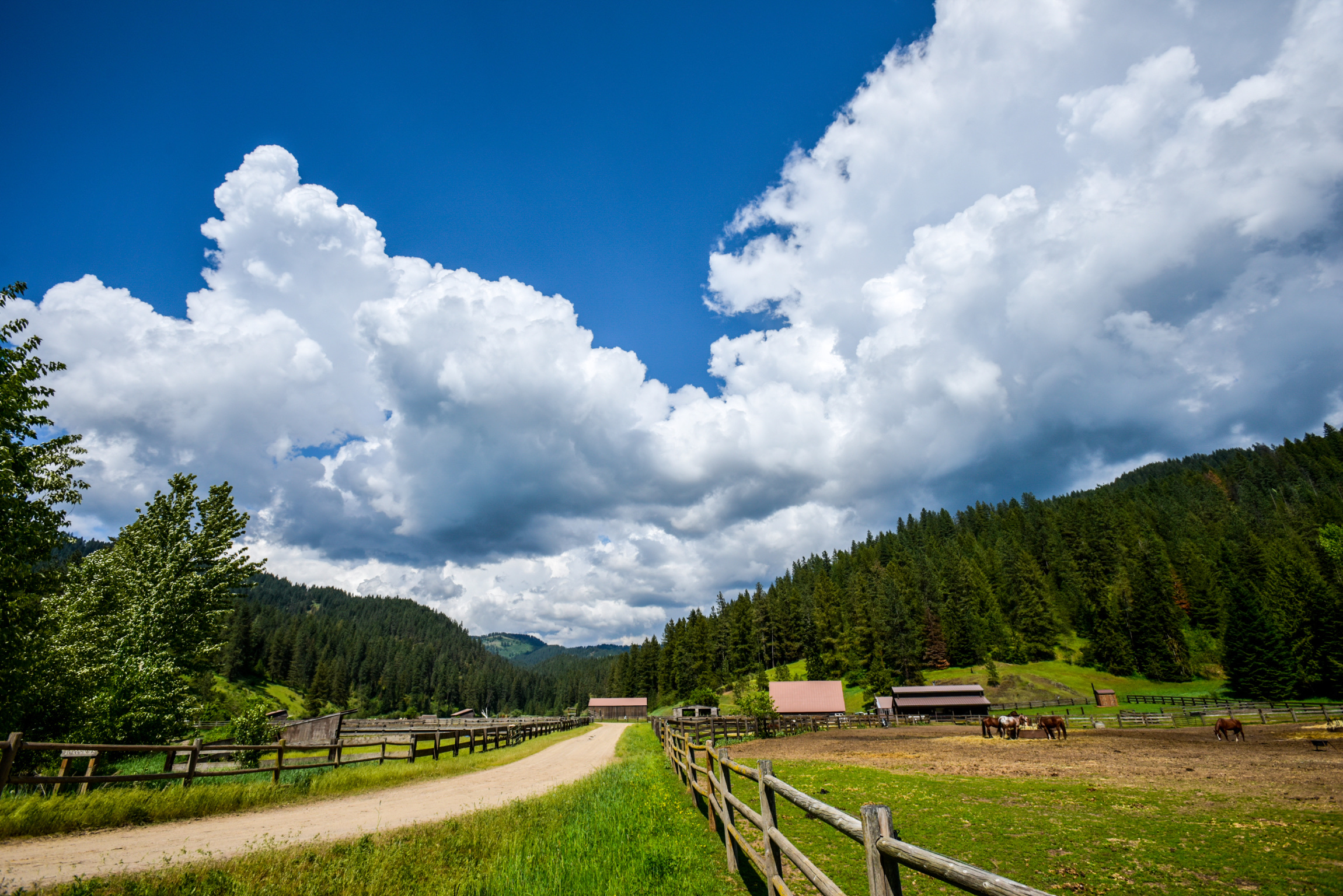 Main ranch road and white clouds