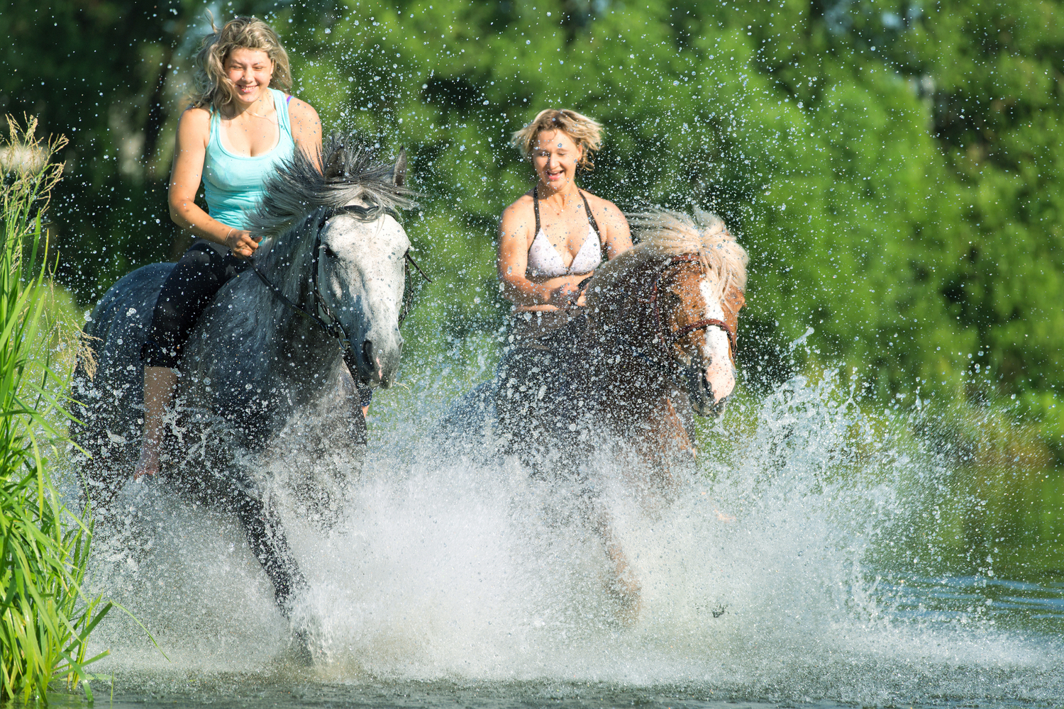 A couple of young women gleefully blast through a shallow stream while atop their trusty steeds.