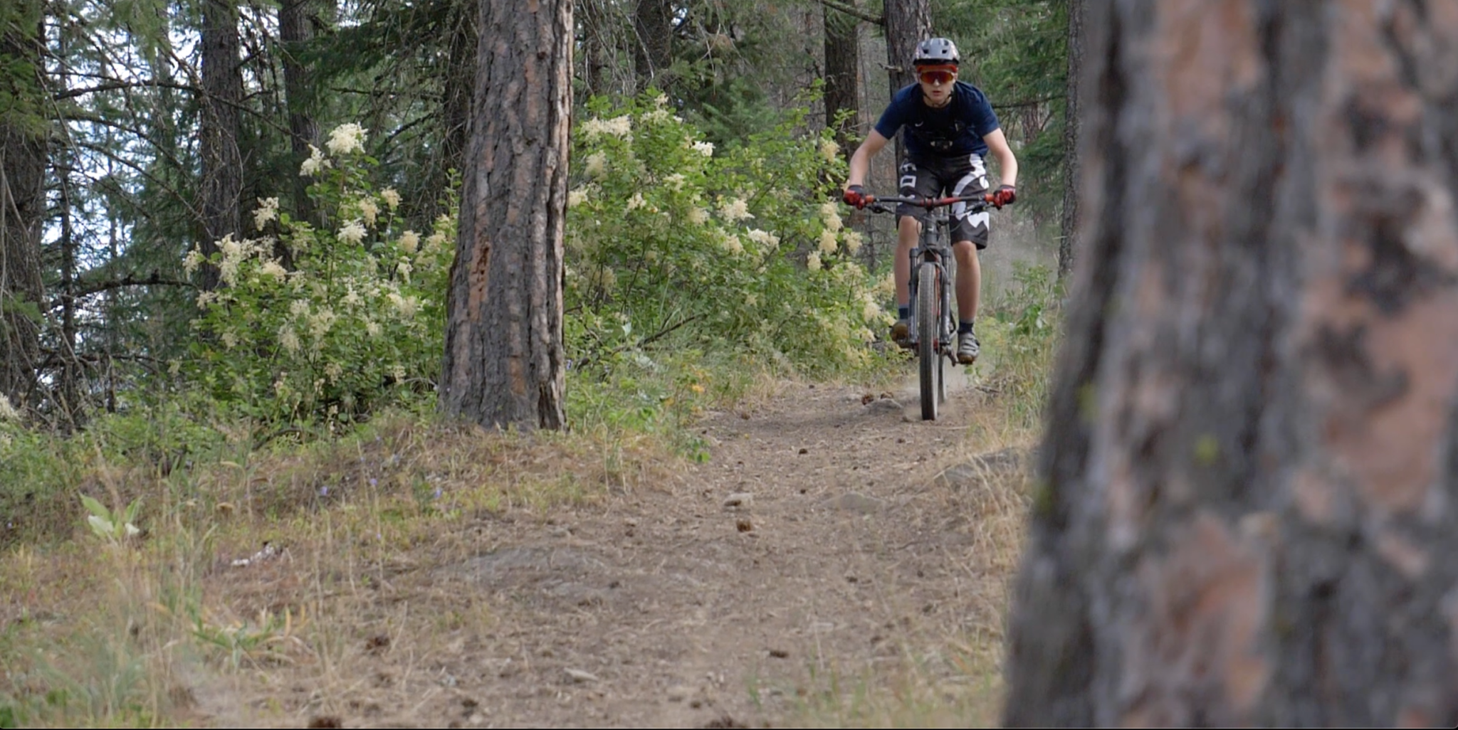 An avid mountain biker makes his way down a nearby trail.