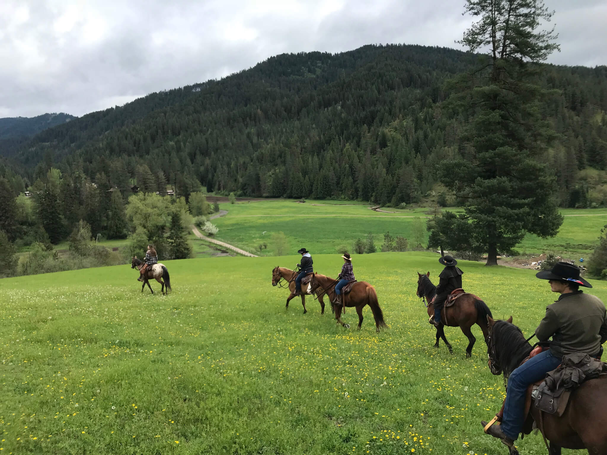 A group of horseback riders set off into the pasture at Red Horse Mountain Ranch.