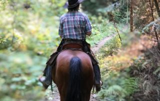 A man rides on horseback along a trail through the dense forest.