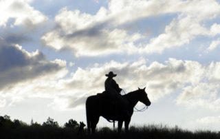 What is a Dude Ranch: A lone wrangler rides his horse at daybreak in Northern Idaho.