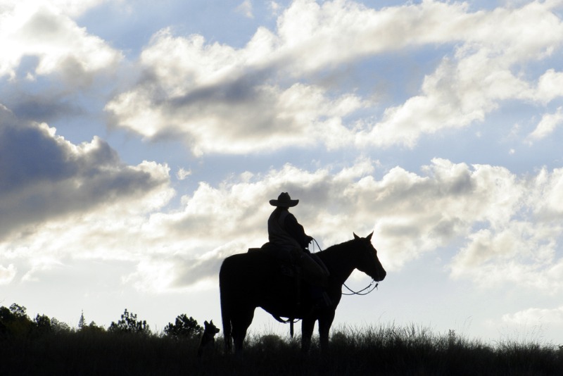 What is a Dude Ranch: A lone wrangler rides his horse at daybreak in Northern Idaho.