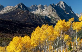Idaho Nature