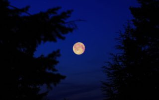 Starwatching​ the moon.